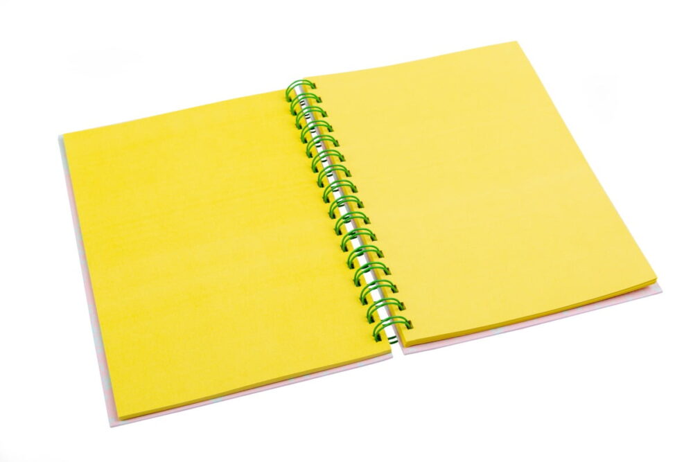 Notebook, Type "Сactus" A5 (4 designs)