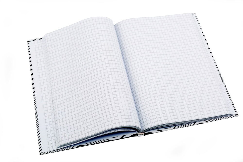 Business notebook A5, 96 sheets (squared scattered), Type "Strips" (4 designs)
