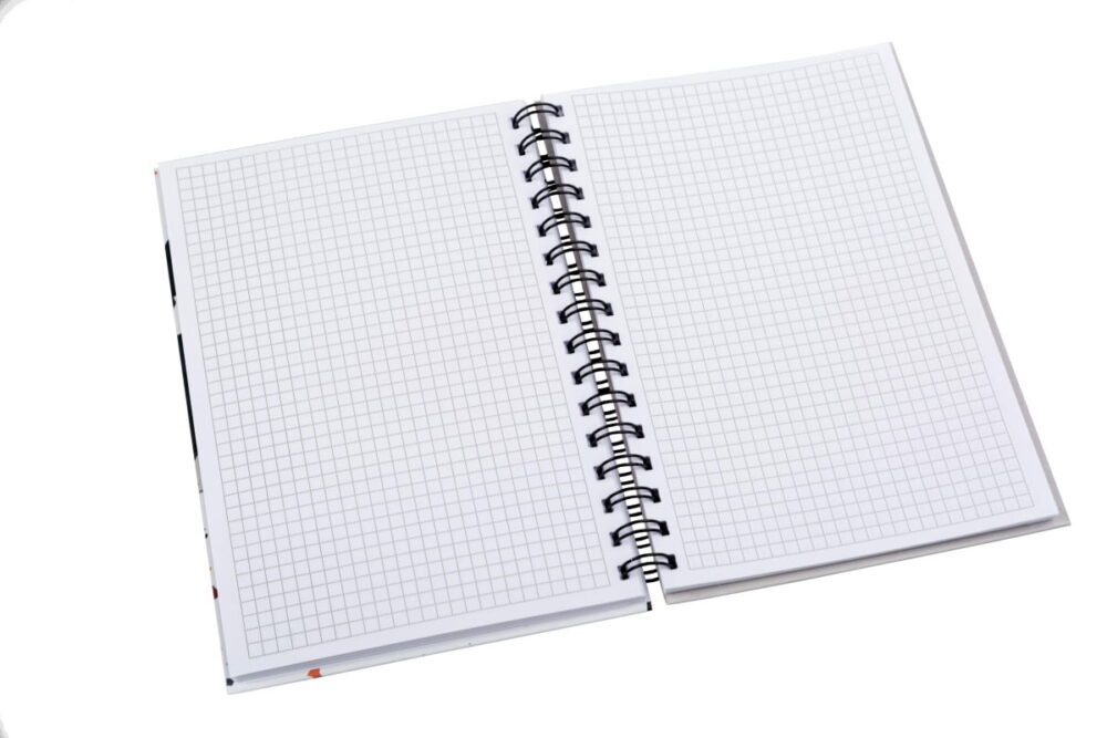 Business notebook Standard A5, 96 sheets (squared scattered), Type "Spring Standart" (4 designs)